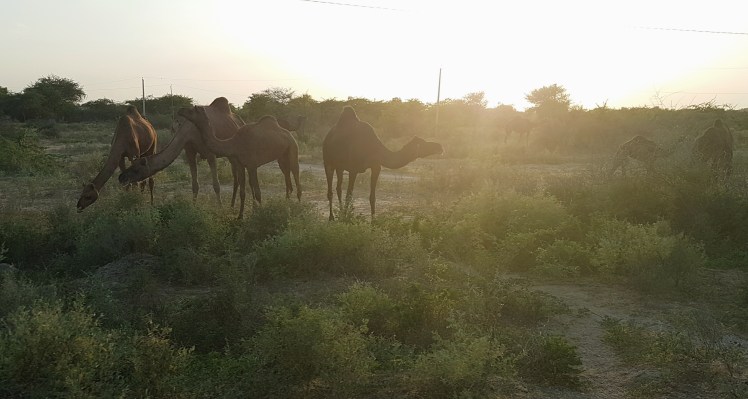 2018-10-23 03.48.38 1.jpg