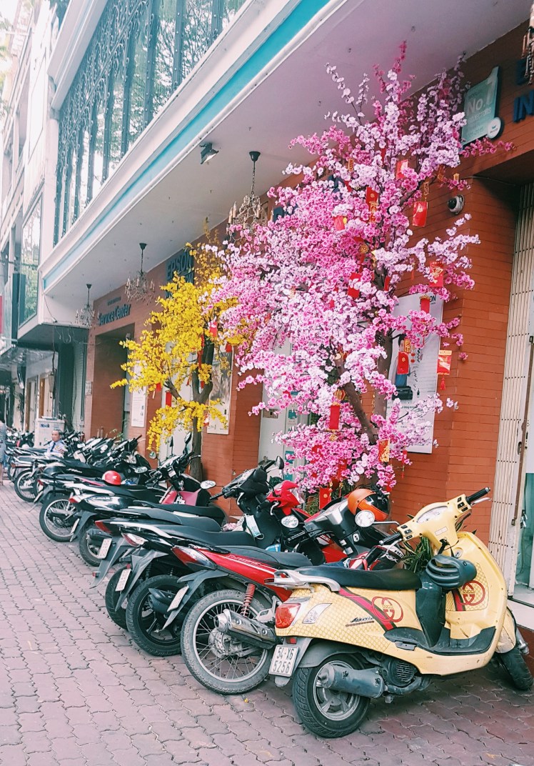 2019-01-24 07.16.30 2.jpg