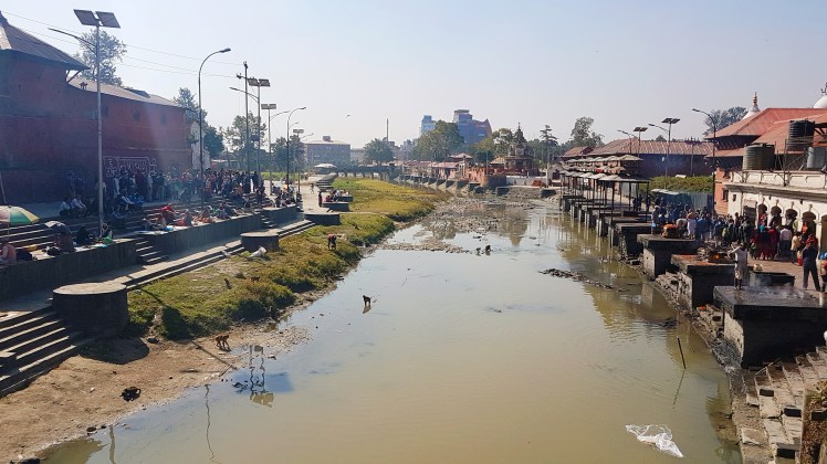 2019-02-14 01.18.00 1.jpg